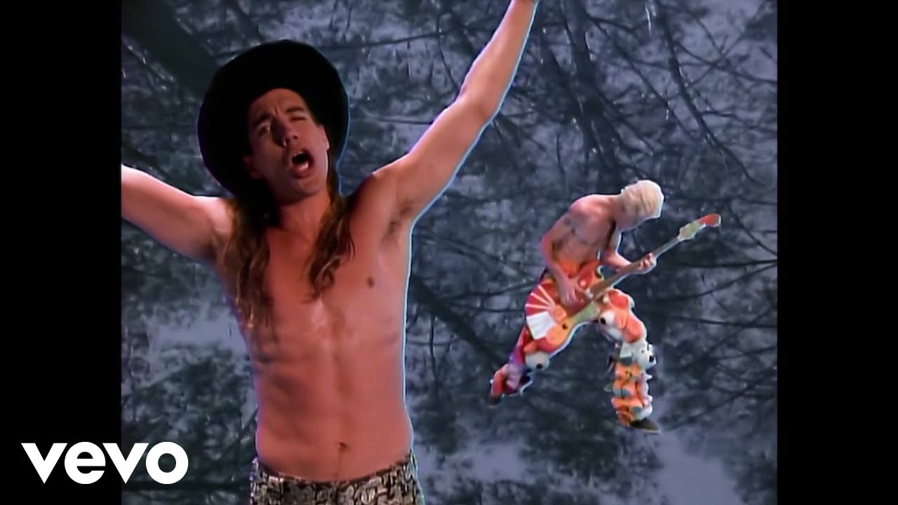 Red Hot Chili Peppers - Higher Ground 🎸