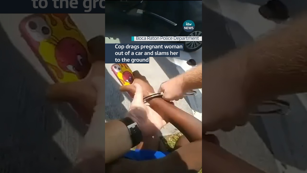 Pregnant Woman Dragged from Car by Cops π