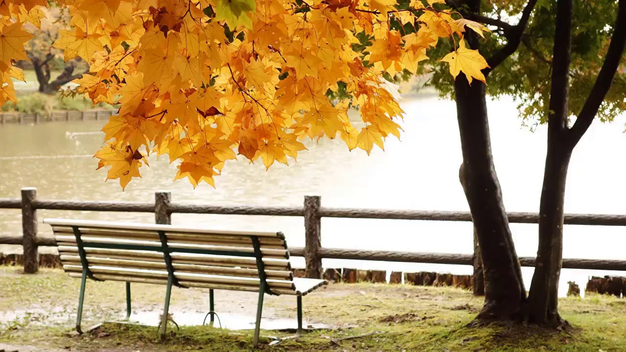 Duygusal ve Aşk Dolu Fon Müzikleri 🎶