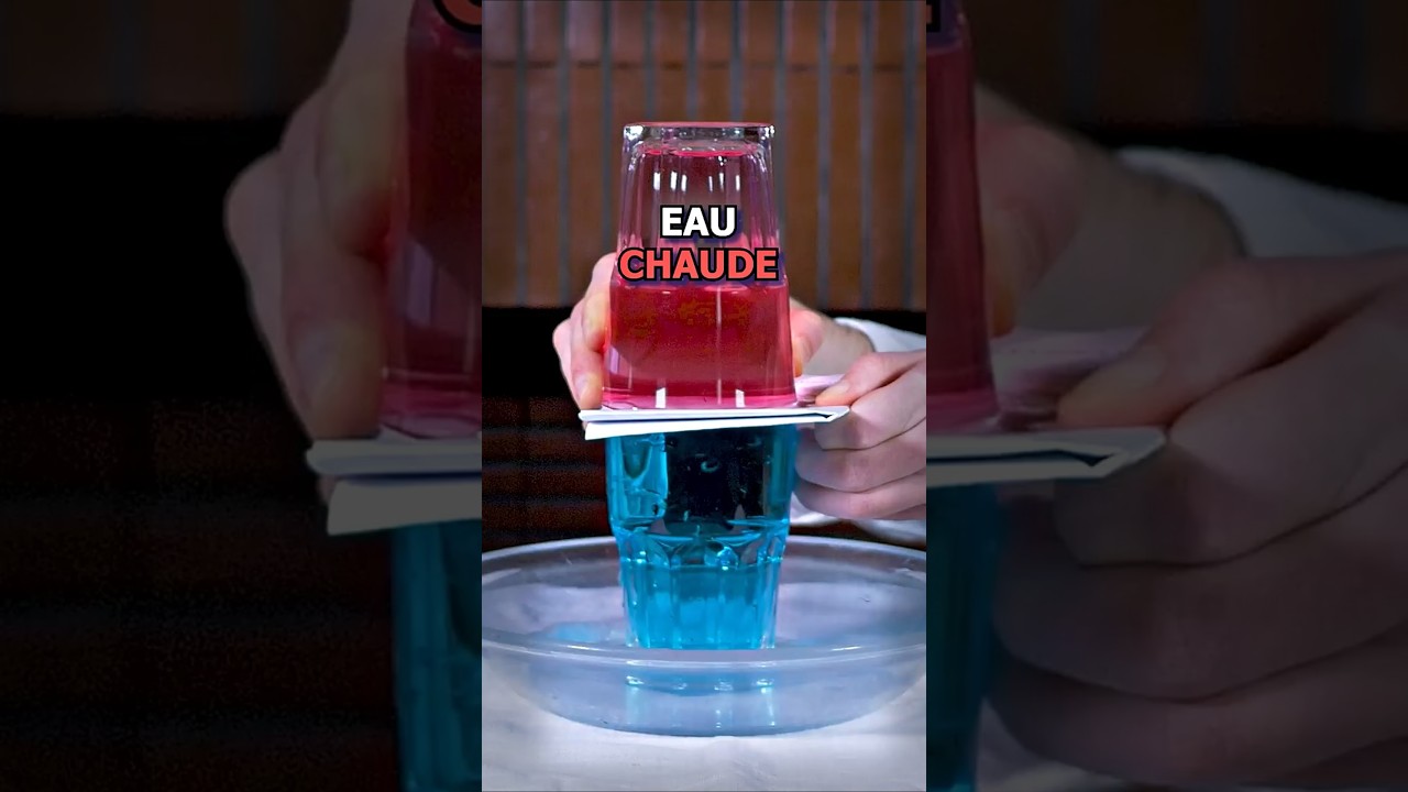 Eau Chaude vs Eau Froide 🔥❄️