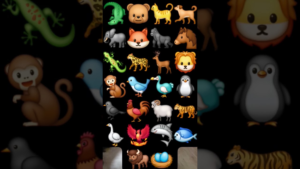 ABC Alphabet Song & Zoo Animals 🐒