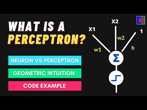 What is a Perceptron? Perceptron Vs Neuron | Perceptron Geometric Intuition