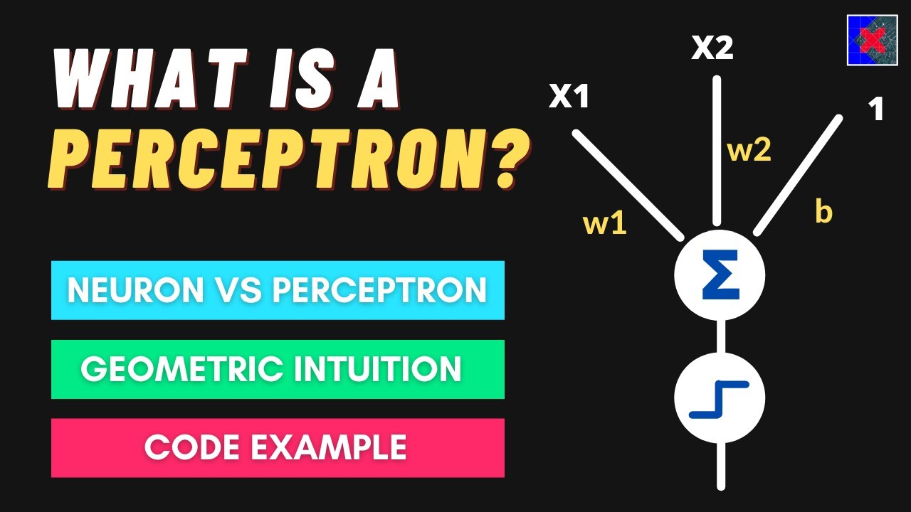Understanding Perceptrons: The Building Blocks of Neural Networks 🤖