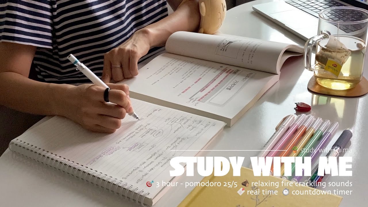 🗂️3HR STUDY WITH MEㅣrelaxing fire crackling soundsㅣpomodoro 25/5, with timer