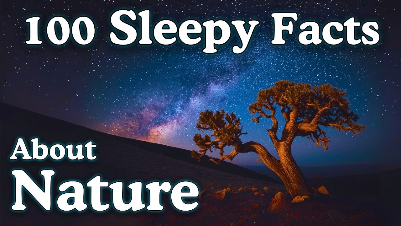 Discover 100 Relaxing Nature Facts to Help You Sleep 🌙