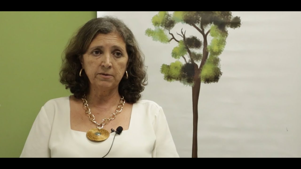 UEL Revela Novas Regras para o Vestibular 2026 📝