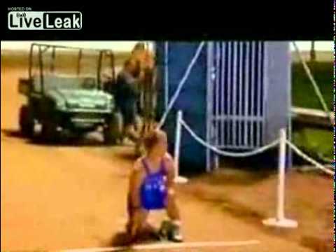 4 Midgets Race Camel