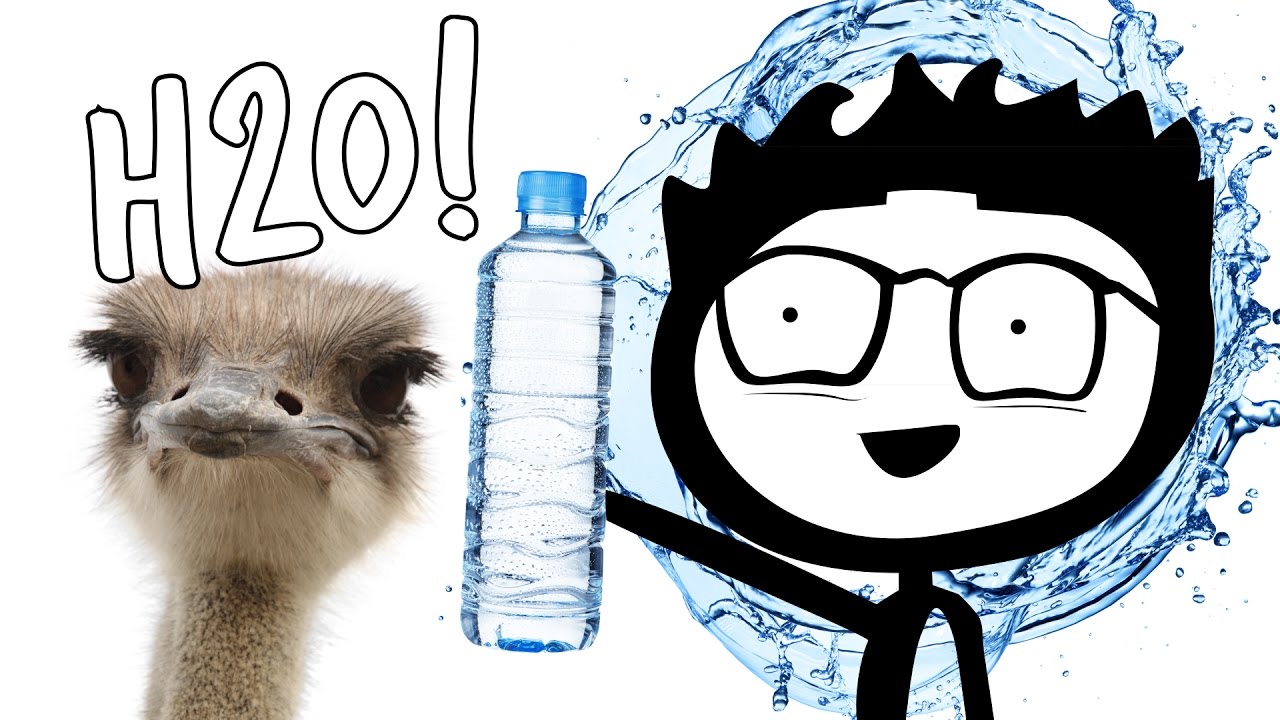 Drink Water to Lose Weight: 4 Scientific Reasons 💧