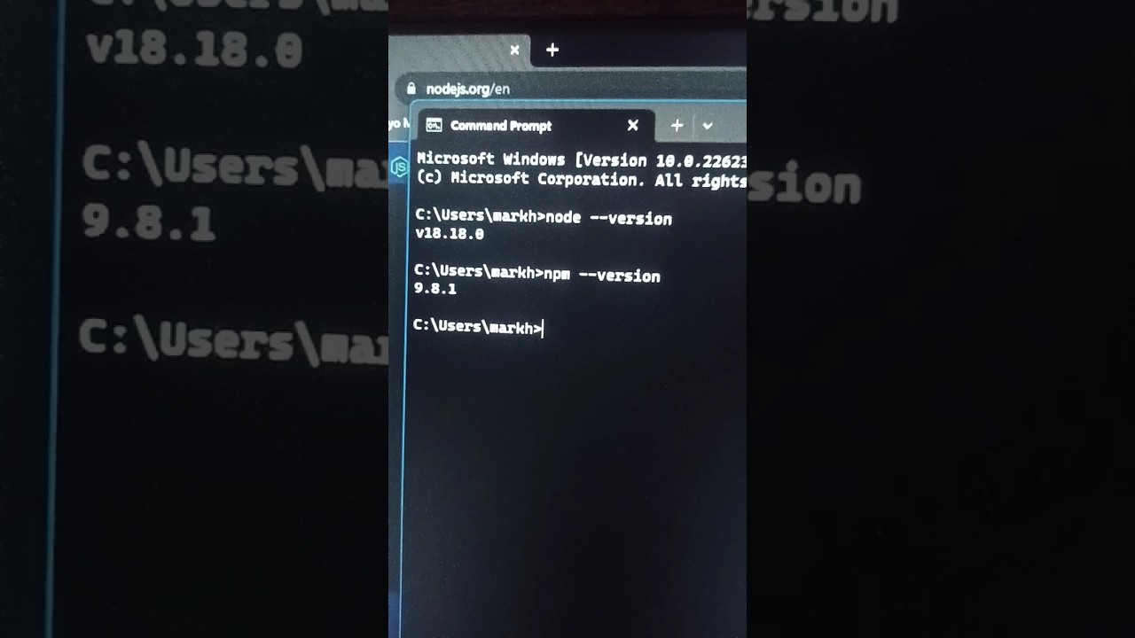 Guide to Installing Node.js and npm on Windows