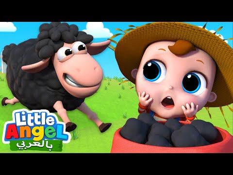 خ خ خروف أسود | اغاني أطفال | Little Angel Arabic | Baa Baa Black Sheep