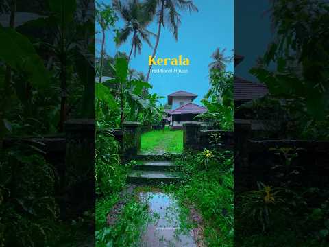 A beautiful traditional house in Kerala #shortsvideo #nature #villagelife #monsoon