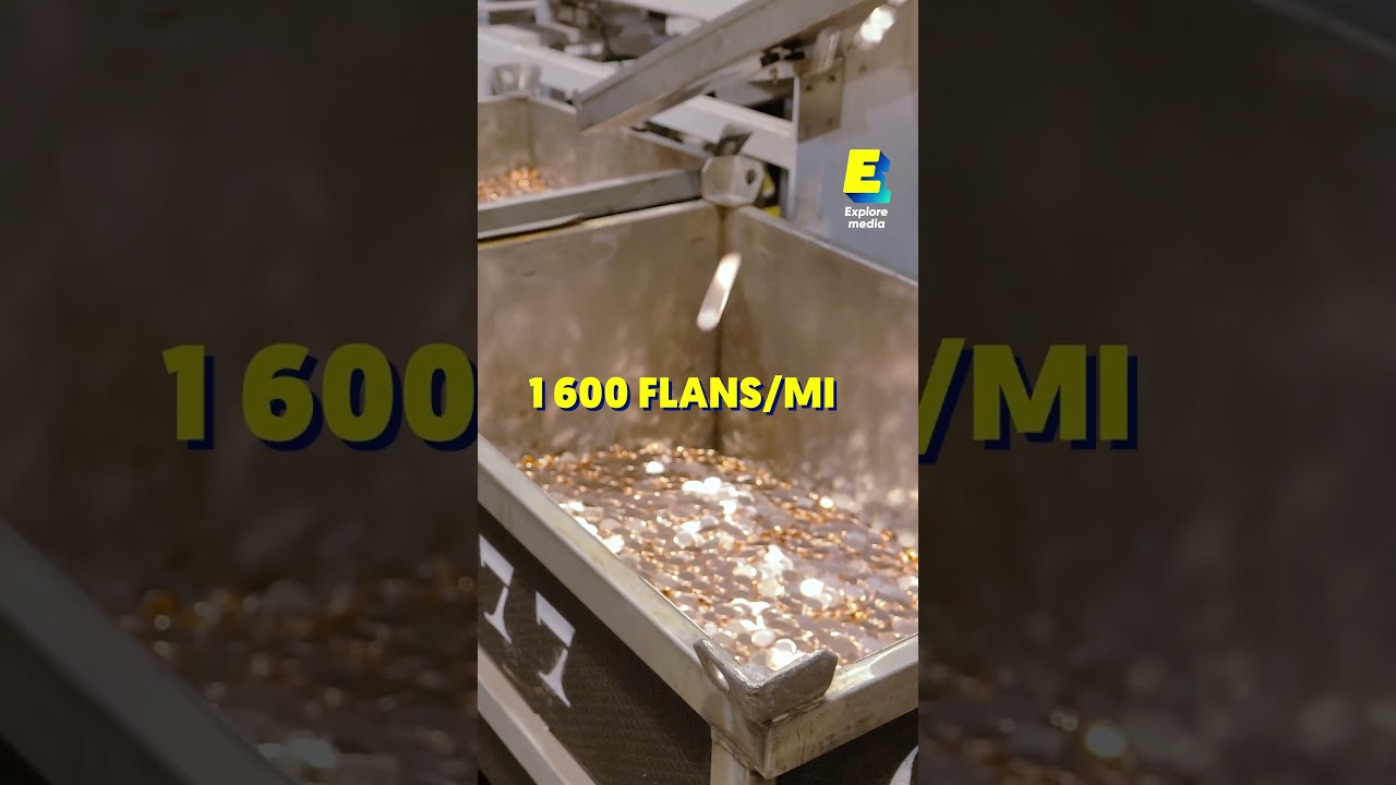 Comment sont fabriquées nos pièces de monnaie ? 🪙