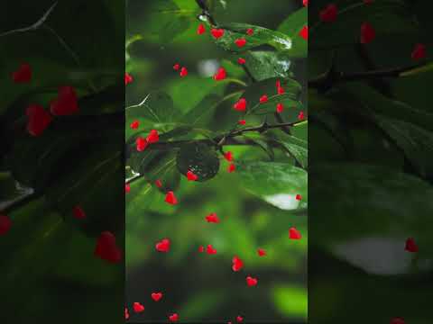 ВРЕМЯ ДЛЯ СЕБЯ #shorts #music #beautifulmelody