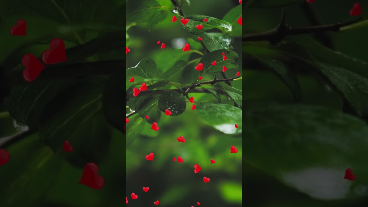 Наслаждайтесь Мелодией для Души 🎶 — Время для Себя #shorts