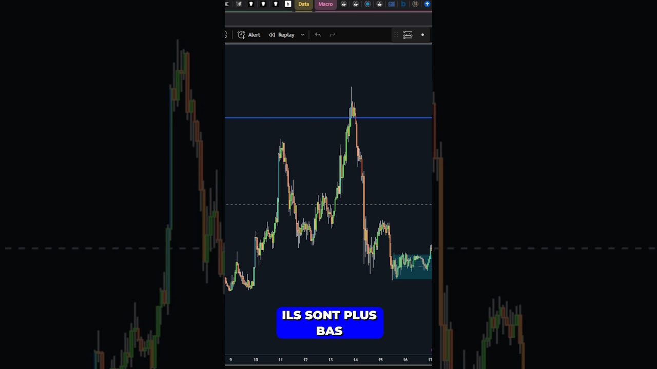 Altcoins en hausse, mais attention à Bitcoin ! 🚨