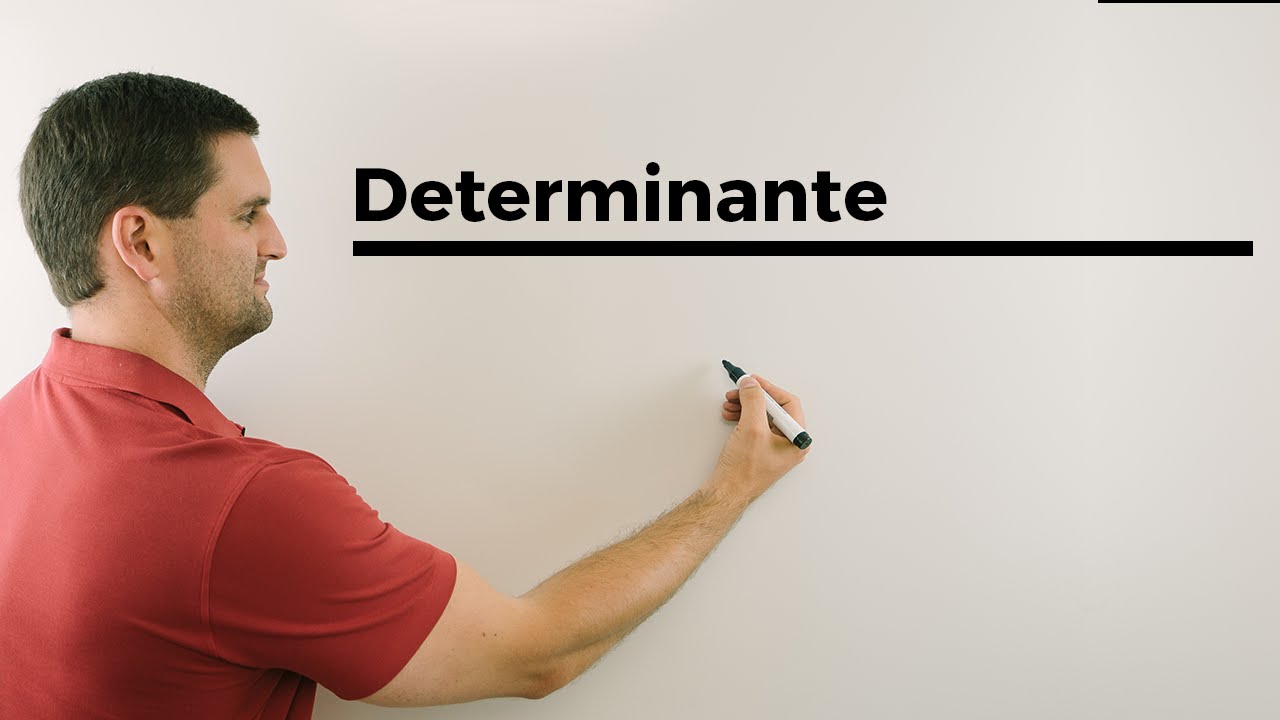 Was sagt die Determinante einer Matrix aus? 🎓