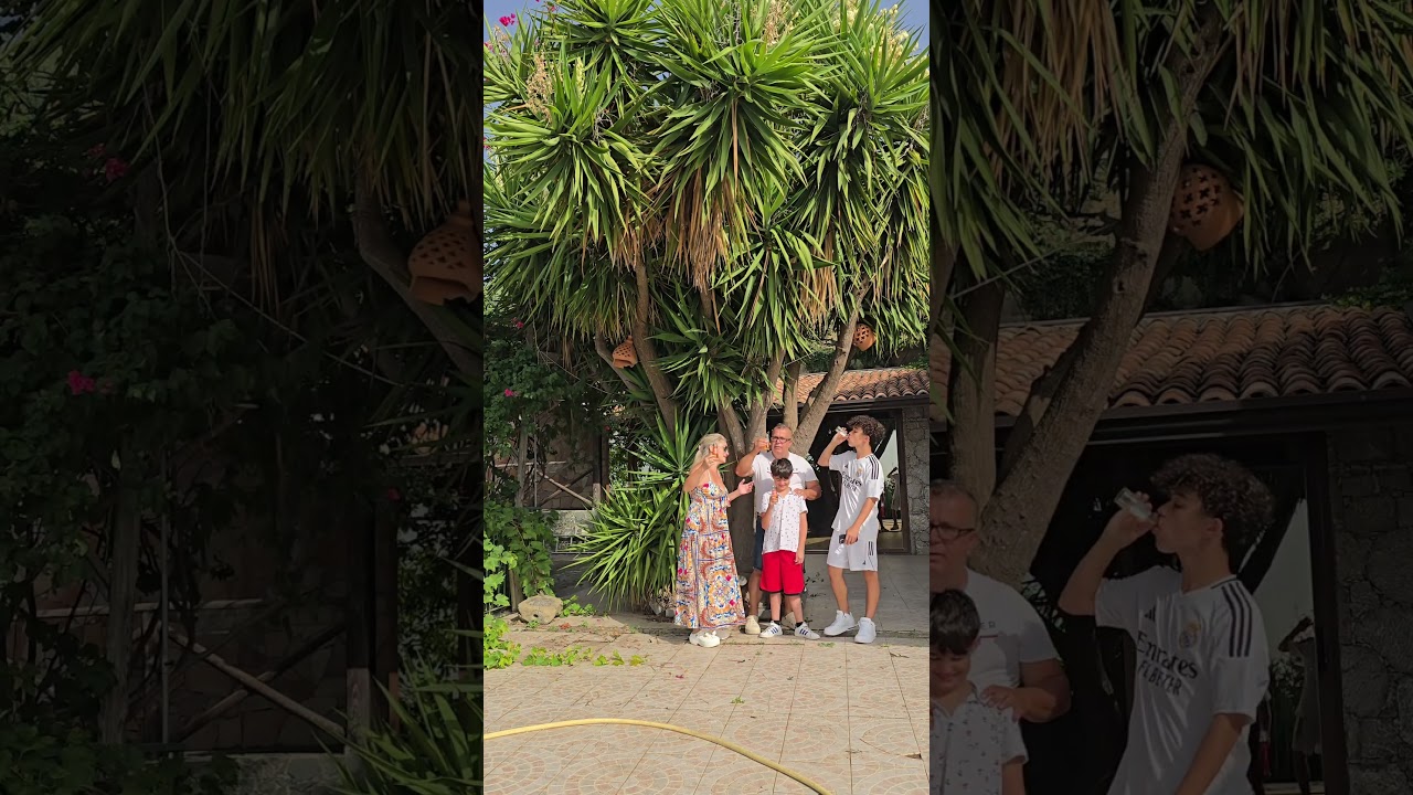 Cin Cin from Sicily 🇮🇹: Celebrate Family & Tradition