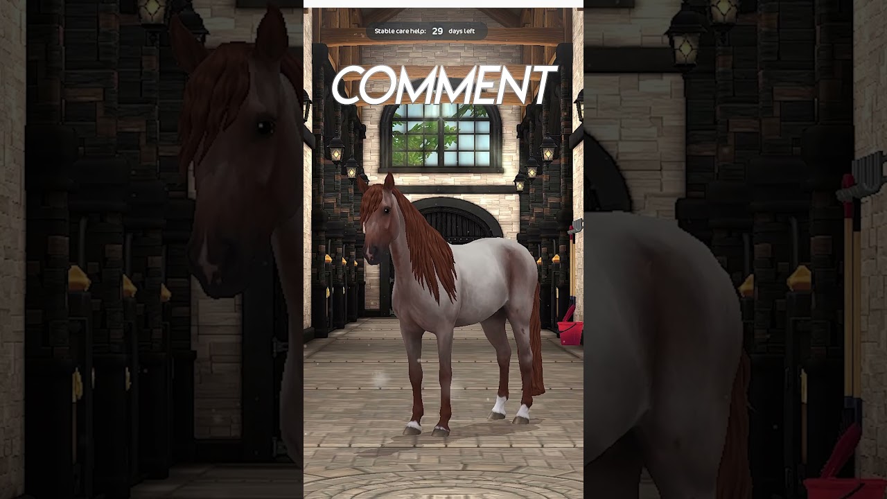 Your SSO Horse If You... ✨🐎