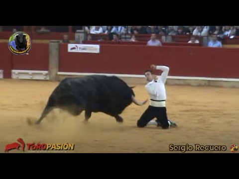 Concurso de Recortes con Toros Zaragoza 2012 "Final Campeonato de España"