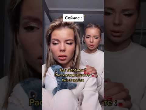 🔥НЕТ БОЛЬШЕ ЛЬВЁНКА🔥😱БЛИЗНЯШКИ РАССКАЗАЛИ ЧТО СЛУЧИЛОСЬ😱КАТЯ И НАСТЯ ТИК ТОК ЛУЧШЕЕ