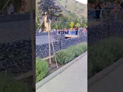 Архара Бишкек #pfmedia #романтическаямузыка #музыкадлядвоих #музыкабезслов