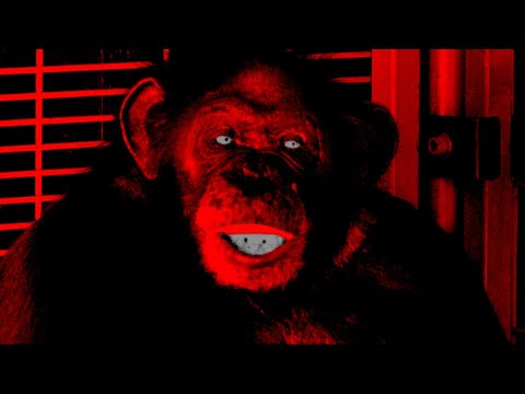 When Animals Attack! - Three Horrifying True Stories