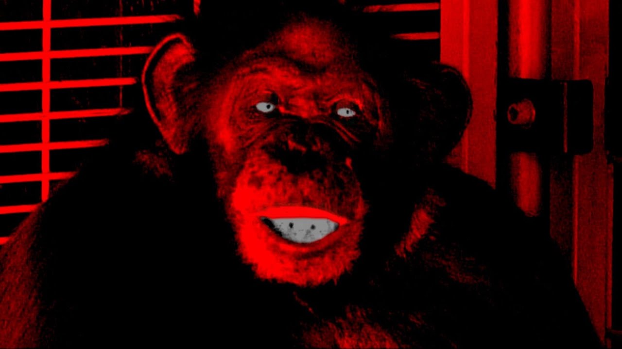 When Animals Attack! - Three True and Disturbing Incidents