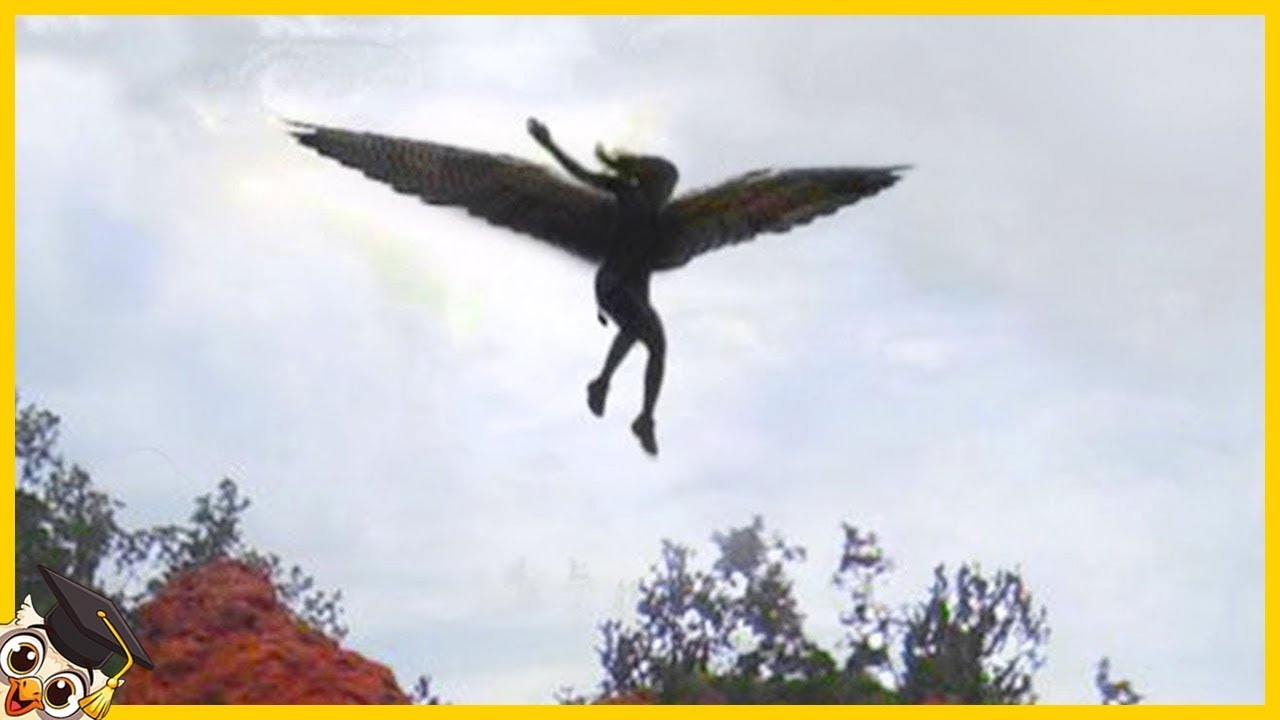15 Anges Réels Capturés par Caméra 👼