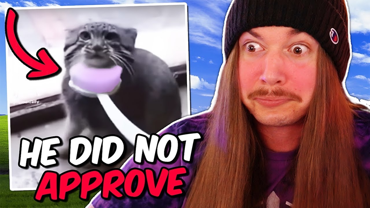 If I Laugh, The Video Ends #162 😂