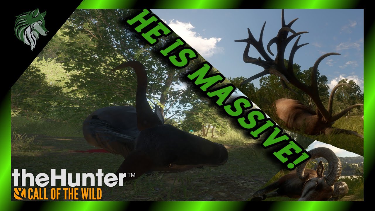 MONSTER DIAMOND RED DEER AND WILDEBEEST! Stream Highlights #13 | TheHunter Call Of The Wild
