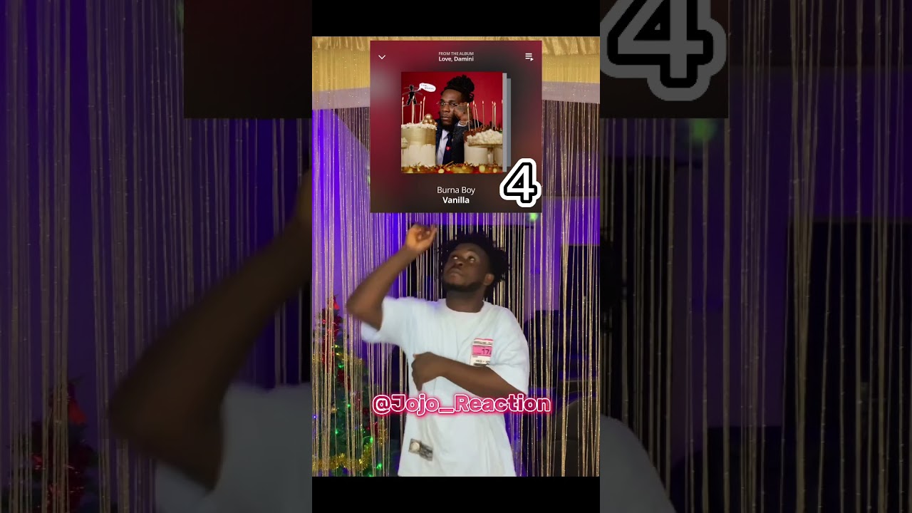 Top 4 Burna Boy Songs from Love Damini 🎶