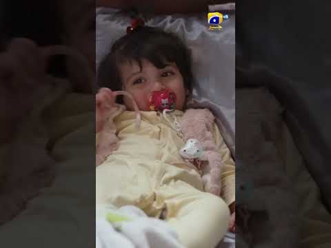 Murtasim Pe Hamesha Meerab Ki Marzi Chalegi ๐คซ๐ #wahajali #yumnazaidi #terebin #shorts