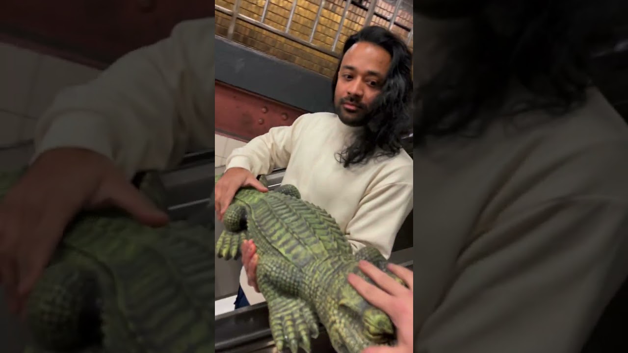 Wanna Touch My Alligator? π #shorts