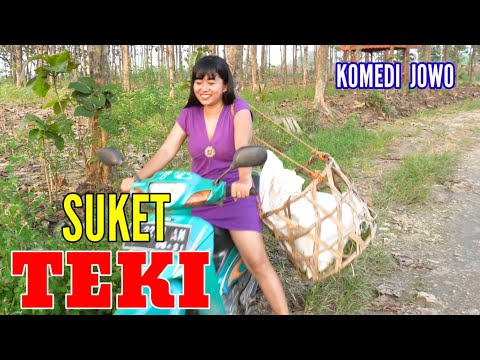 SUKET TEKI || Drama Komedi Lucu Bikin Ngakak