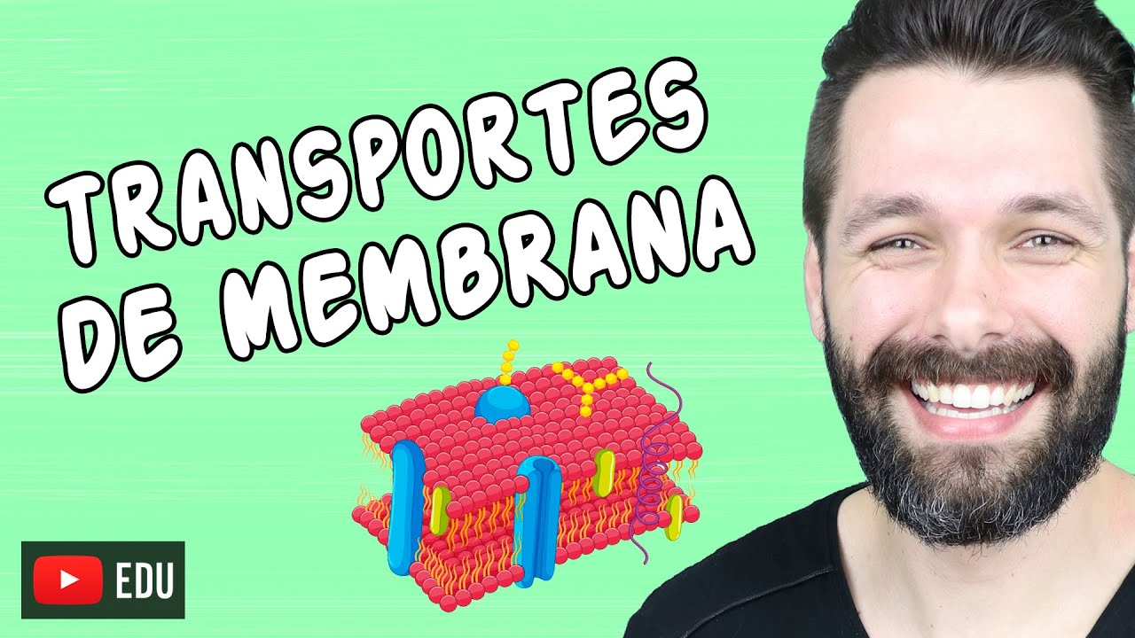Transporte pela Membrana Plasmática 🧬 - Mapa Mental