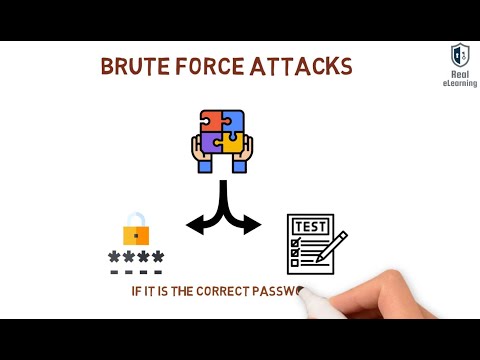 What is Bruteforce, Rainbow and Plaintext password attack.