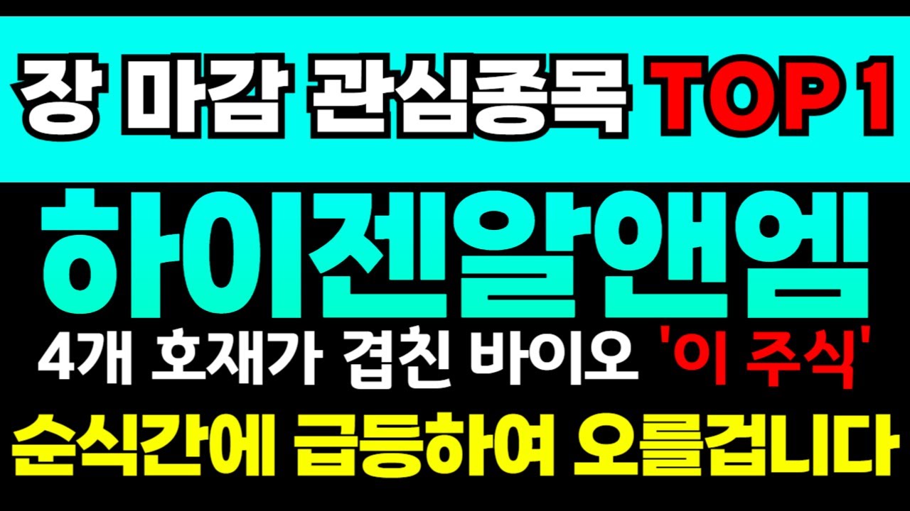 하이젠알앤엠, 상승세 시작! 🚀