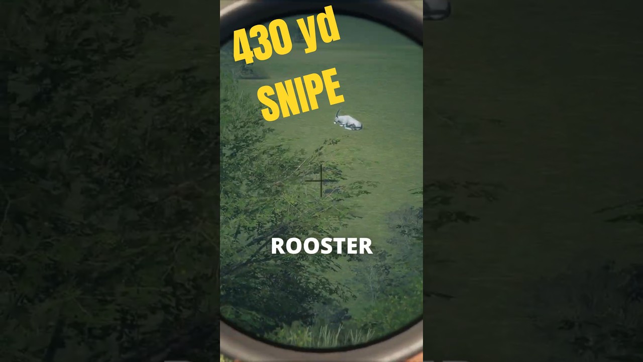 Best Shot in CotW 🦌 | theHunter: Call of the Wild