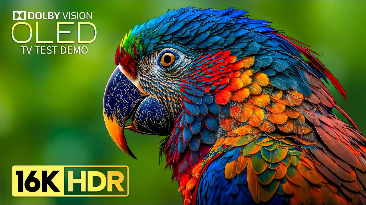 Top Dolby Vision HDR Video: 16K at 240 fps 🎥