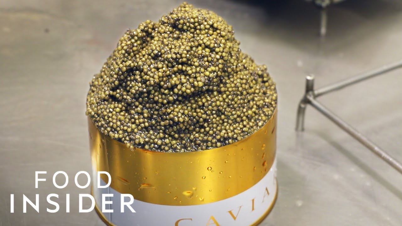 Exploring Europe's Largest Caviar Farm: Agroittica Lombarda