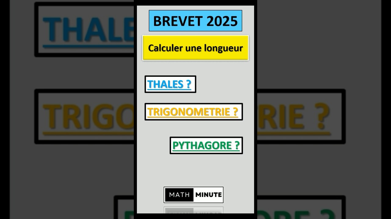 Brevet: Thalès, Pythagore ou Trigonométrie? 📐