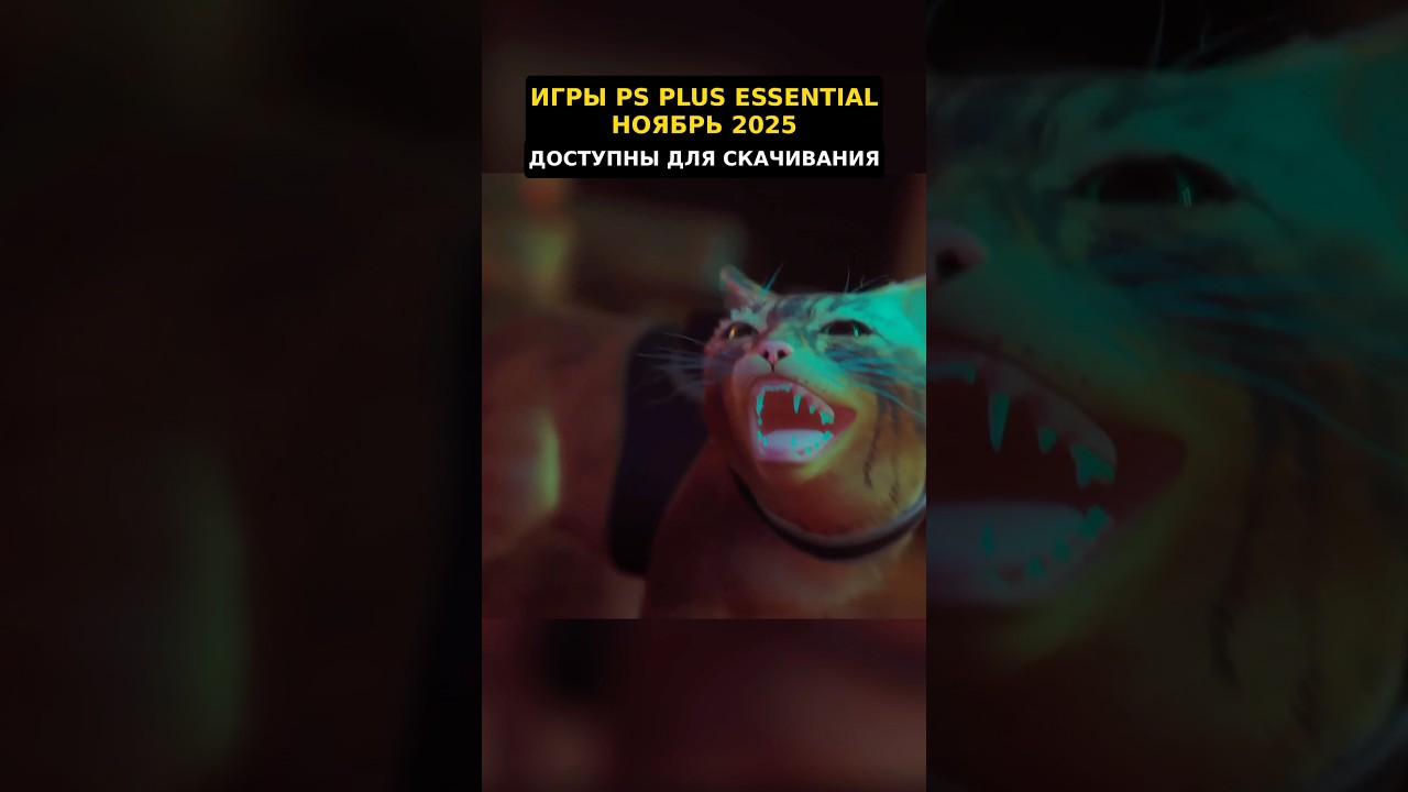 Бесплатные игры PS Plus Ноябрь 2025 доступны для скачивания 🎮