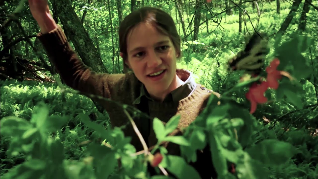 SciStarter & Citizen Science: Power of the People 🌍