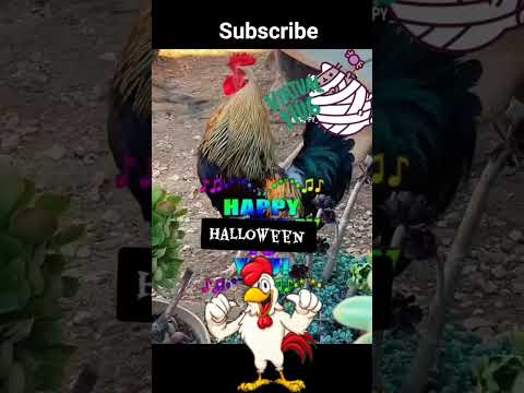 undas #undas #halloween #qc #bblgang #kmjs #kmjsnayan #ofw #tv5news #abscbnnews #uaap #tondo #manila