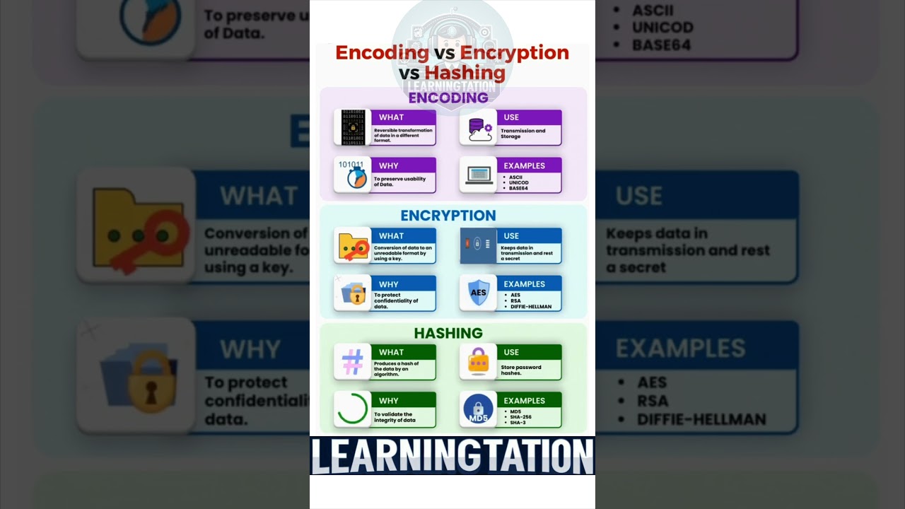 Encoding, Encryption & Hashing Explained: Key Differences You Need to Know 🔐