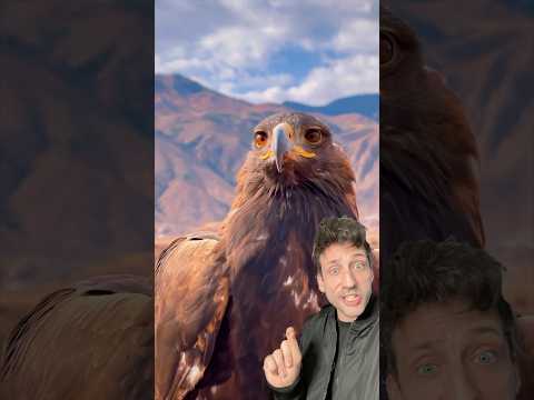 The Golden Eagle is literally built different