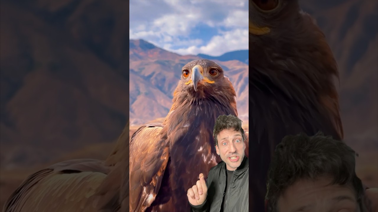 Why the Golden Eagle Is Truly Unique 🦅