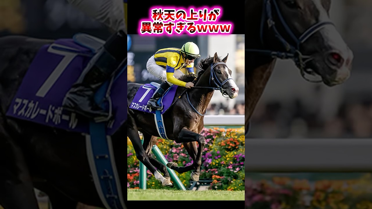 秋天の上がり異常すぎ！競馬ファン絶叫の瞬間集🔥 #天皇賞秋 #マスカレードボール