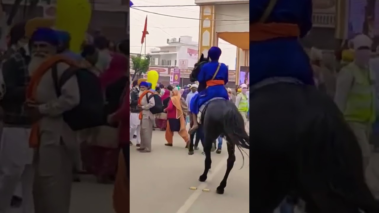 Guru Gobind Singh & Nihang Singhs 🕌