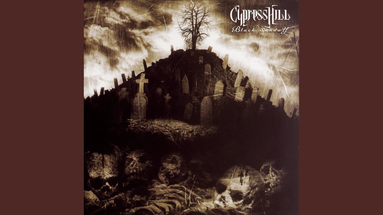 Insane in the Brain by Cypress Hill 🎶